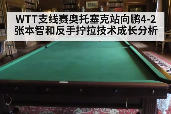 WTT支线赛奥托塞克站向鹏4-2张本智和反手拧拉技术成长分析